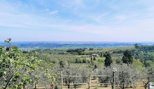 La casina di Colle - Appartamento rustico sulle colline di Pisa