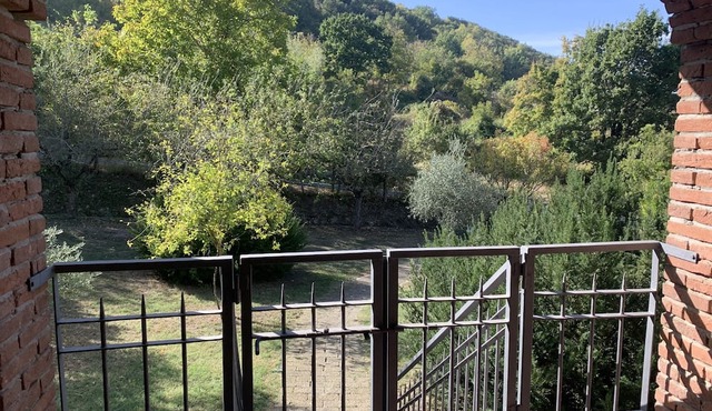 Large spacious pet-friendly apartment in the heart of the countryside.