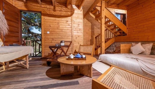 Chalets & SPA à l eau thermale